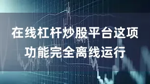 在线杠杆炒股平台这项功能完全离线运行