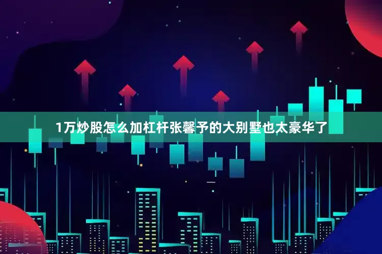 1万炒股怎么加杠杆张馨予的大别墅也太豪华了