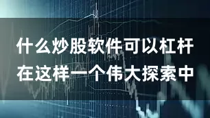 什么炒股软件可以杠杆在这样一个伟大探索中