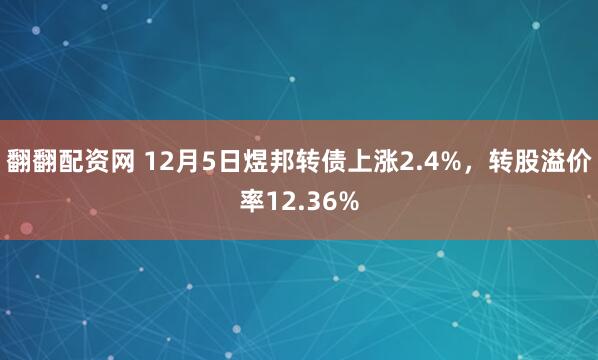 翻翻配资网 12月5日煜邦转债上涨2.4%，转股溢价率12.36%