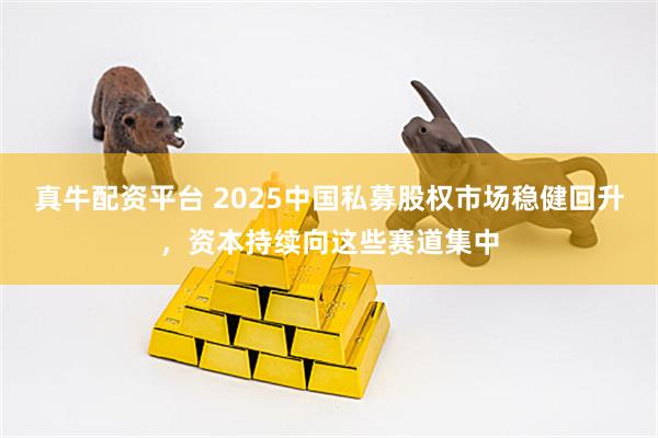真牛配资平台 2025中国私募股权市场稳健回升，资本持续向这些赛道集中
